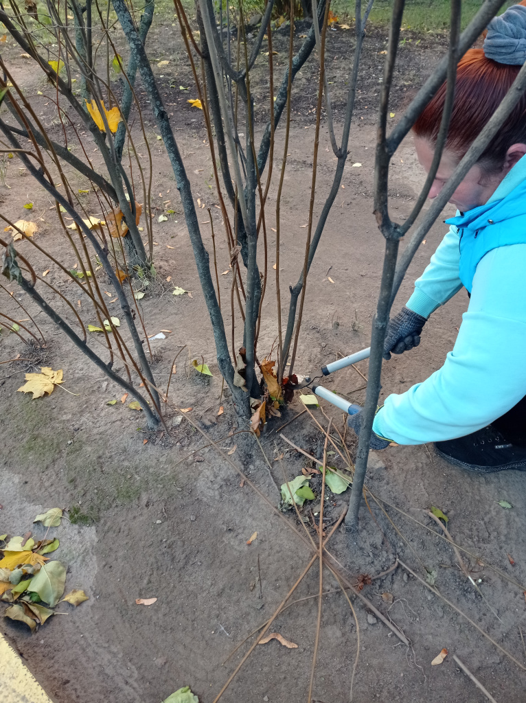 1761199662458 (2).jpg