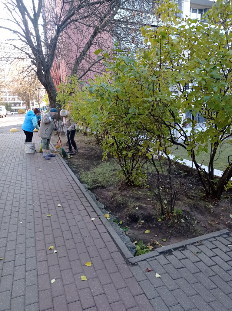 1761199662428 (2).jpg